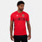 2421900-OGC NICE TRAINING Tee SS M red N  | T-Shirt für Herren